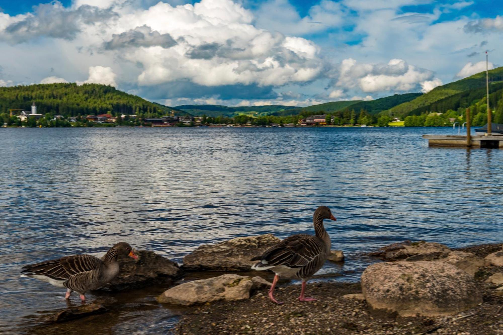 Drei Tannen - Wohnung 04 - Apartmenthaus, Titisee, Nahe Badeparadies Экстерьер фото
