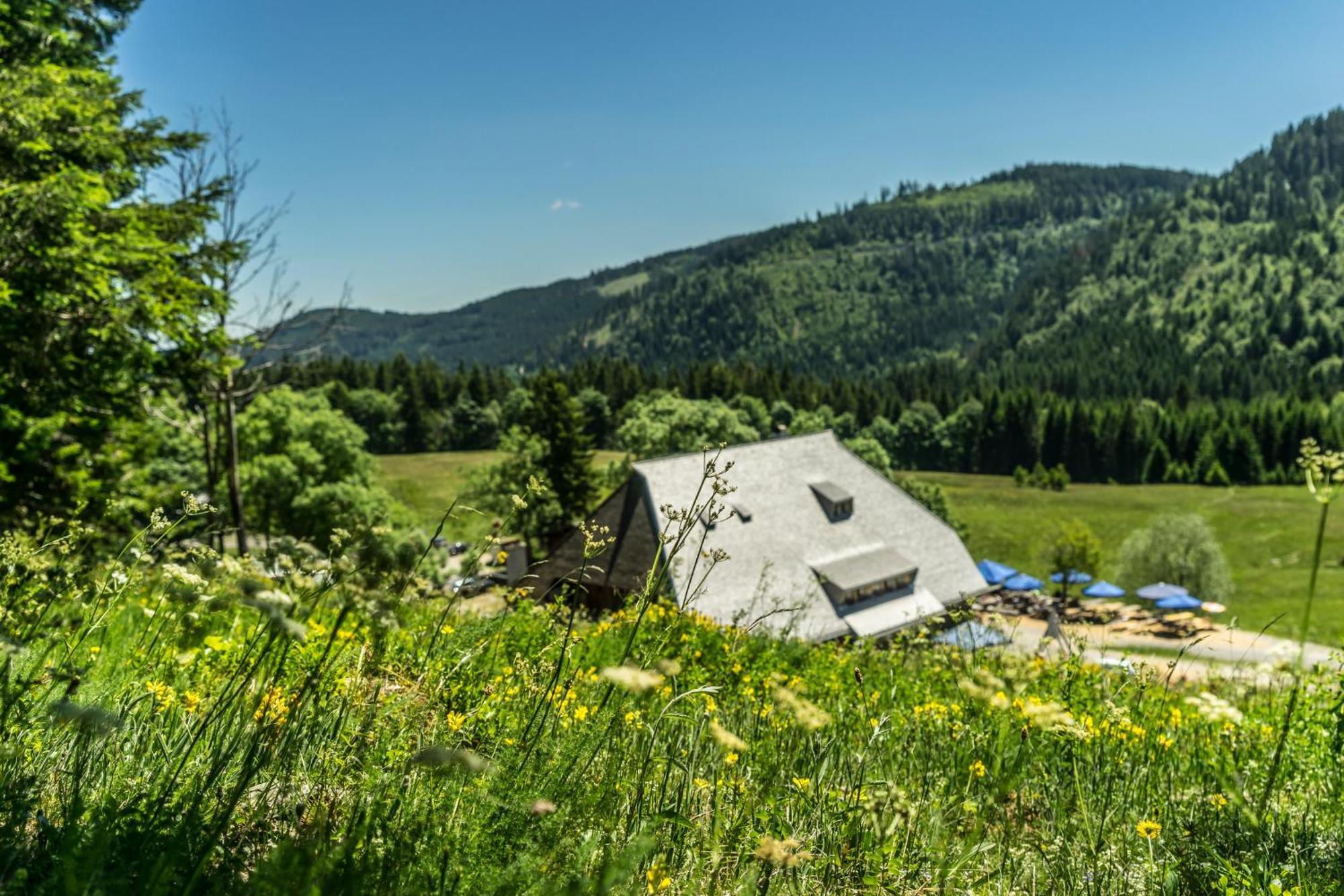 Drei Tannen - Wohnung 04 - Apartmenthaus, Titisee, Nahe Badeparadies Экстерьер фото