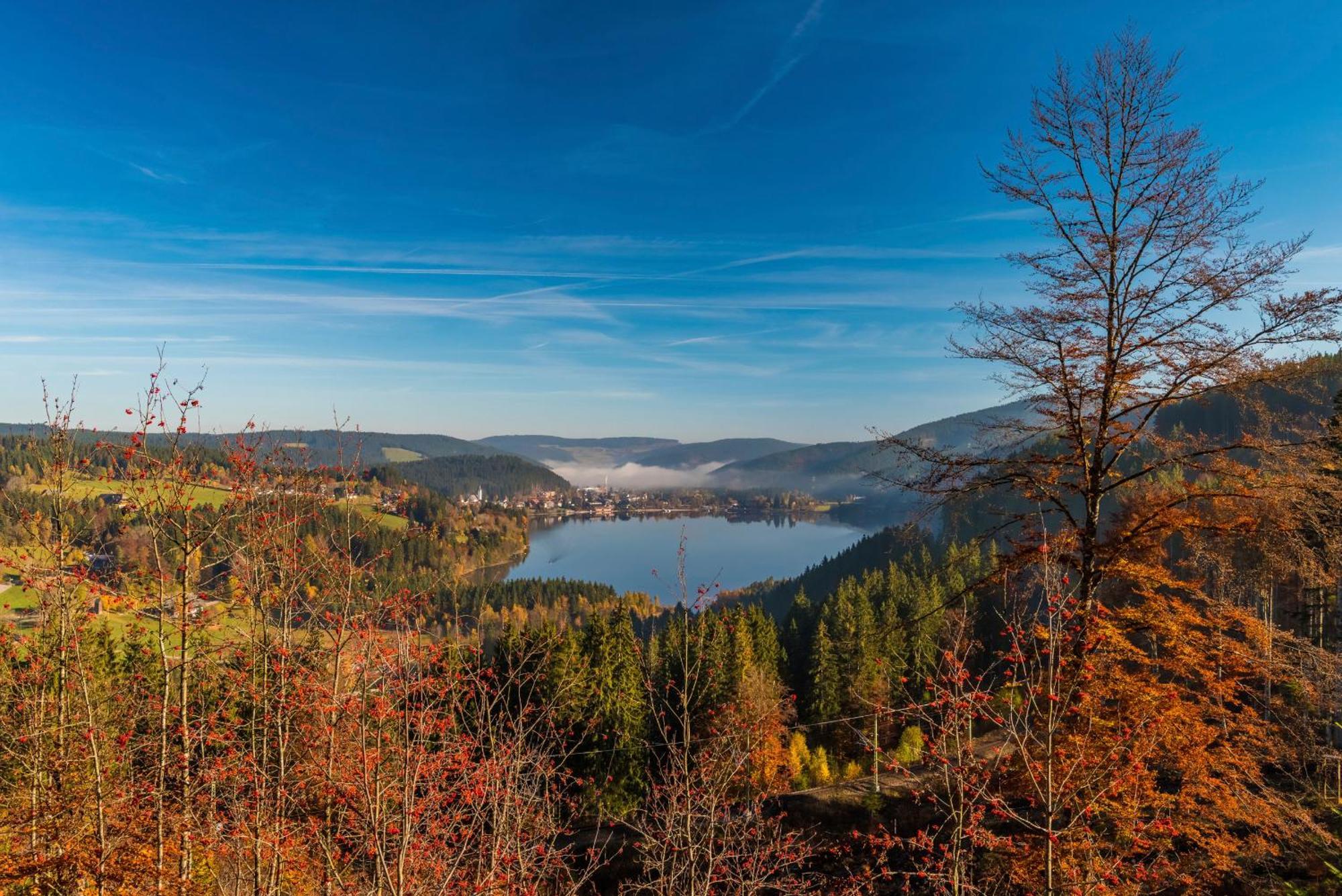 Drei Tannen - Wohnung 04 - Apartmenthaus, Titisee, Nahe Badeparadies Экстерьер фото